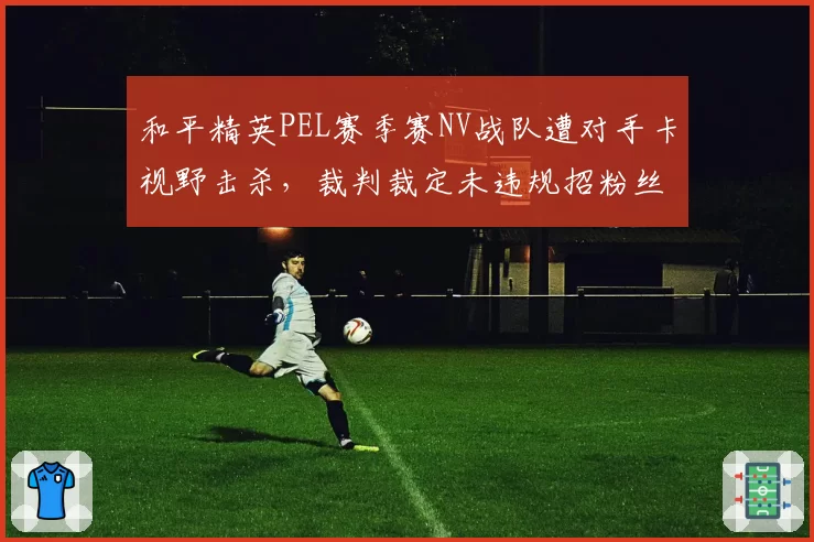 和平精英PEL赛季赛NV战队遭对手卡视野击杀，裁判裁定未违规招粉丝怒斥