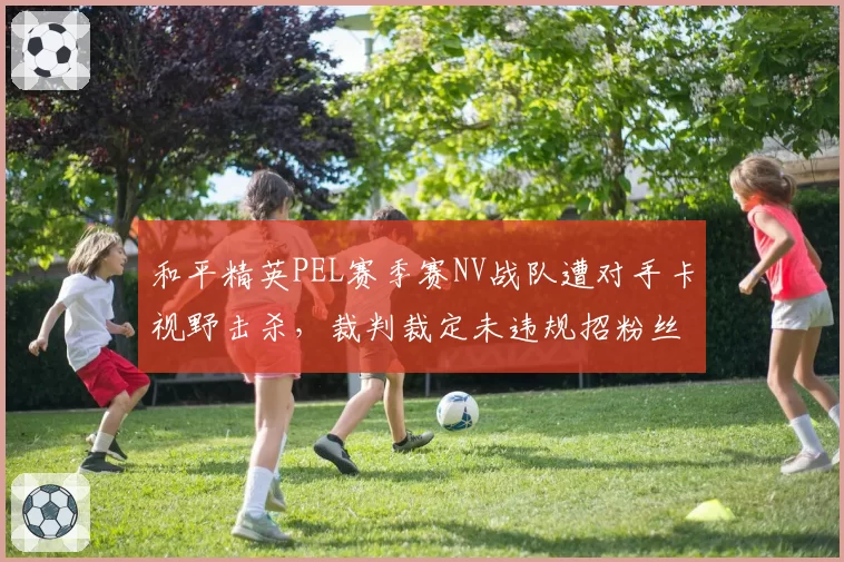和平精英PEL赛季赛NV战队遭对手卡视野击杀，裁判裁定未违规招粉丝怒斥