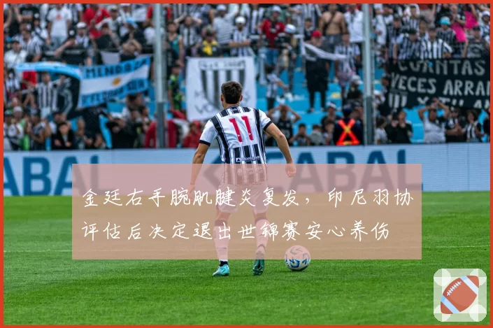 金廷右手腕肌腱炎复发，印尼羽协评估后决定退出世锦赛安心养伤