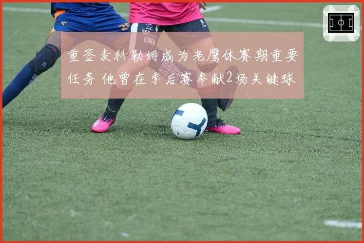 重签麦科勒姆成为老鹰休赛期重要任务 他曾在季后赛奉献2场关键球